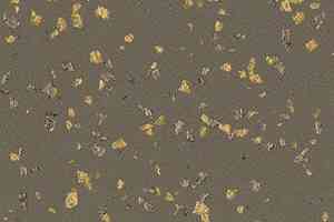 Линолеум Gerflor Taralay Premium Poesy 2749 Lyrique фото  | FLOORDEALER